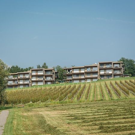 Appartamento Wohnen Im Wein Ehrenhausen Esterno foto