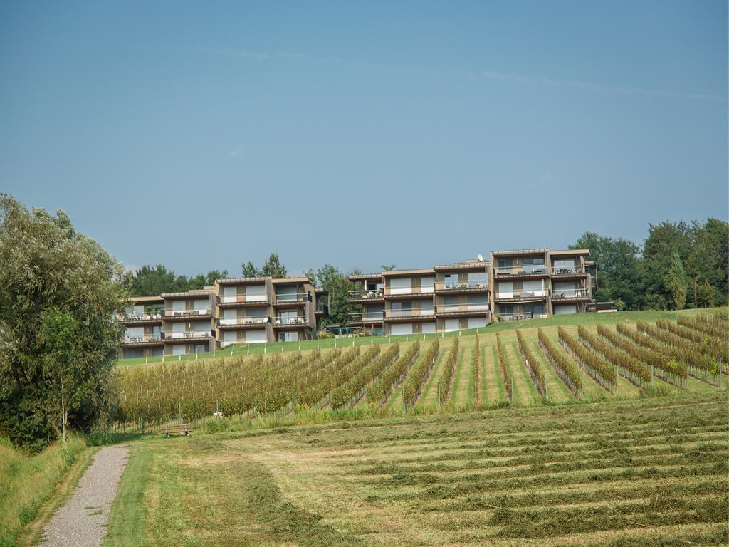 Appartamento Wohnen Im Wein Ehrenhausen Esterno foto